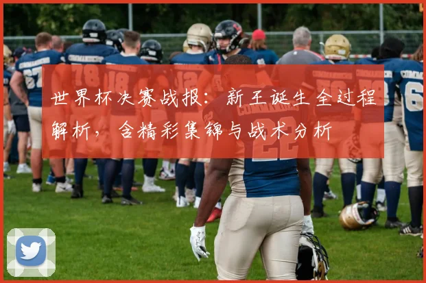 世界杯决赛战报:新王诞生全过程解析,含精彩集锦与战术分析
