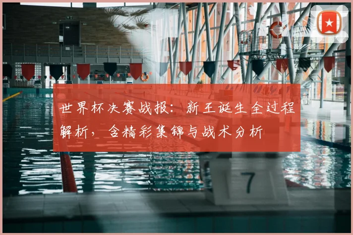 世界杯决赛战报:新王诞生全过程解析,含精彩集锦与战术分析