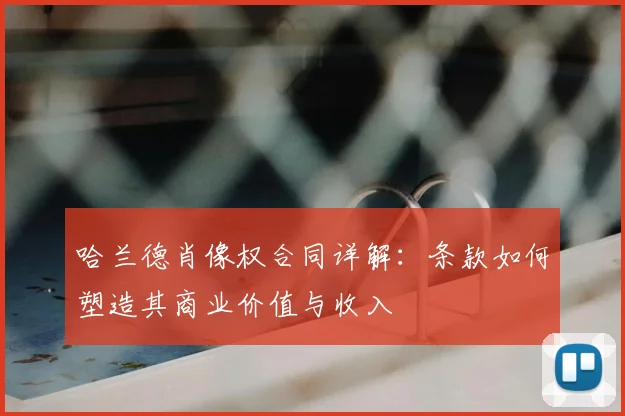哈兰德肖像权合同详解：条款如何塑造其商业价值与收入