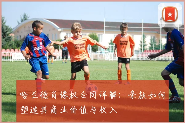 哈兰德肖像权合同详解：条款如何塑造其商业价值与收入