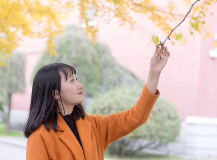 大发集团网络游戏网址截图