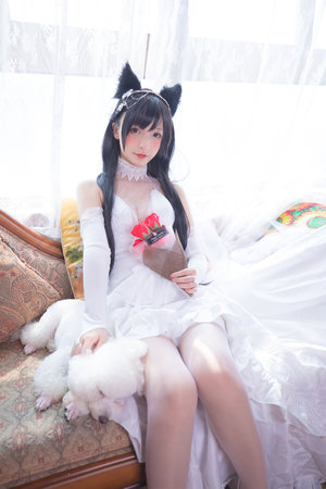 彩神v8iii