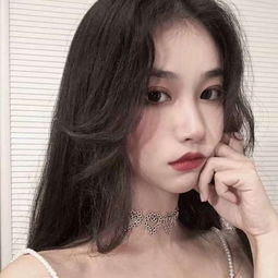 盈彩网官方下载