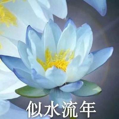 pp体育官网下载截图