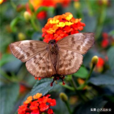 冰球突破手机版网站截图