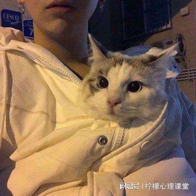 7k官方彩票网app下载
