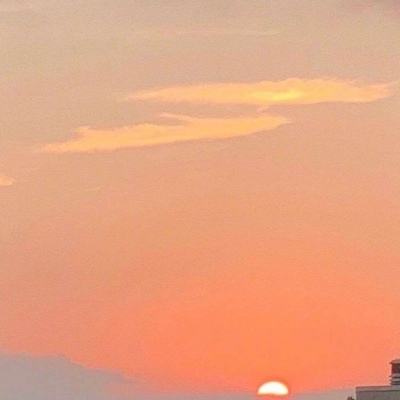 365速发国际下载