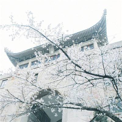 约彩365最简单下载