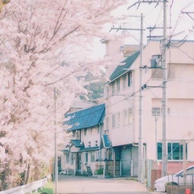 世俱杯押注