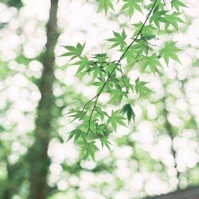 hth手机版登录