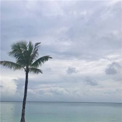加拿大预测