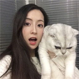 亚洲彩票welcome登录截图