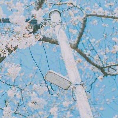 乐发2彩票app下载