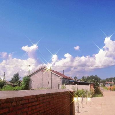c7.c7app官方