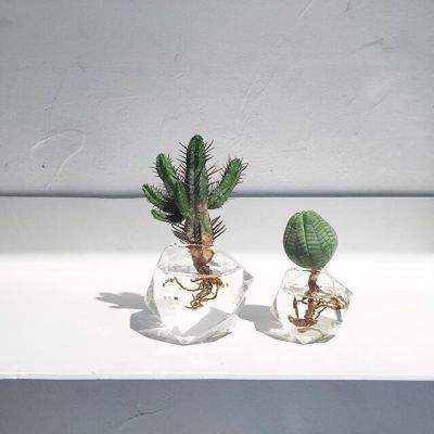 bwin必赢在线登录入口