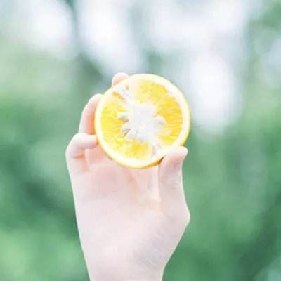 彩宝贝彩票app下载