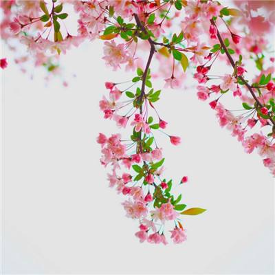 哈希彩票正规平台