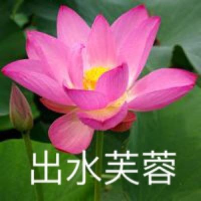 pg模拟器试玩入口截图