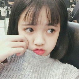 彩家园截图