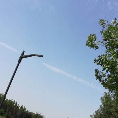 彩家园截图
