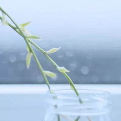 正版资料免费资料截图