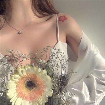 金彩汇com截图